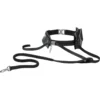 Frisco Outdoor Running Belt With Bungee Dog Leash