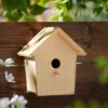 Frisco Bird House