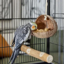 Frisco Coconut Bird Feeder -PetPalace Picks 331450 PT3. AC SS1800 V1660703570