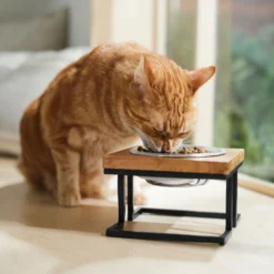 Frisco Premium Wood Elevated Single Dog & Cat Bowl -PetPalace Picks 331493 PT3. AC SS1800 V1657656892