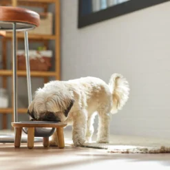 Frisco Premium Round Shape Elevated Single Dog & Cat Bowl -PetPalace Picks 331502 PT2. AC SS1800 V1657656893