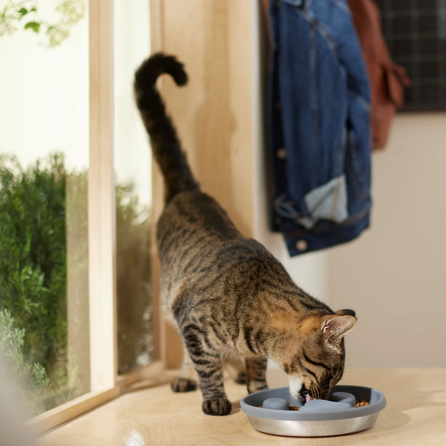 Frisco Silicone Stainless Paw Steel Slow Feeder Dog & Cat Bowl 4 Frisco Silicone Stainless Paw Steel Slow Feeder Dog & Cat Bowl - Image 4