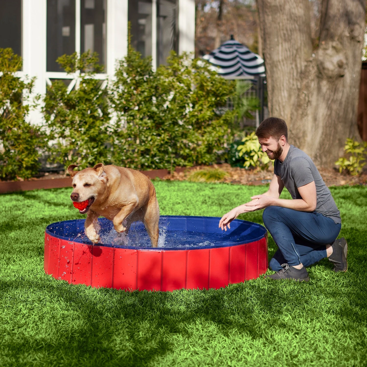 Frisco Outdoor Dog Swimming Pool, Red 1 Frisco Outdoor Dog Swimming Pool, Red