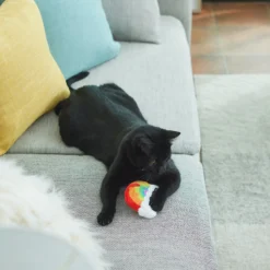 Frisco Pride Rainbow Plush Cat Toy With Silvervine -PetPalace Picks 331690 PT3. AC SS1800 V1647355685