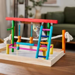 Frisco Color Me Wild Bird Playground -PetPalace Picks 331704 PT4. AC SS1800 V1660703306