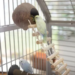 Frisco Up The Ladder Coco Bird Hut 8 Frisco Up The Ladder Coco Bird Hut -PetPalace Picks 331723 PT3. AC SS1800 V1660703304