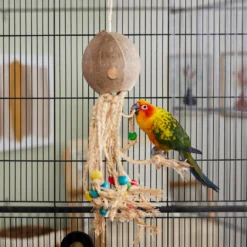 Frisco Coco Loco Bird Toy -PetPalace Picks 331741 PT3. AC SS1800 V1660703305