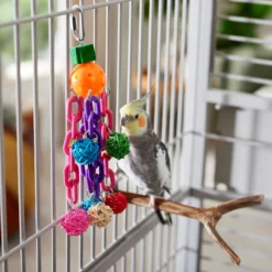 Frisco Entertainment Bundle Bird Toy -PetPalace Picks 331747 PT3. AC SS1800 V1660703304