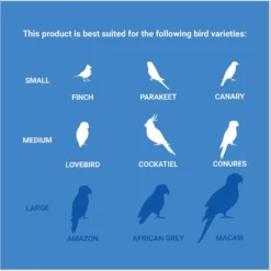 Frisco Entertainment Bundle Bird Toy -PetPalace Picks 331747 PT4. AC SS1800 V1661200356