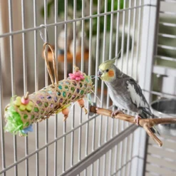 Frisco Flower Net Bird Foraging Toy 7 Frisco Flower Net Bird Foraging Toy -PetPalace Picks 331751 PT3. AC SS1800 V1660703304