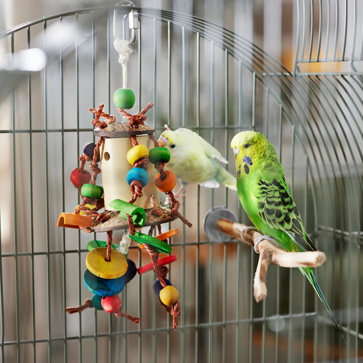 Frisco Knotted Activity Cluster Bird Toy 3 Frisco Knotted Activity Cluster Bird Toy - Image 3