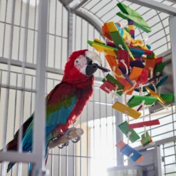 Frisco Pterodactyl Block Bird Chew Toy -PetPalace Picks 331777 PT3. AC SS1800 V1660703304