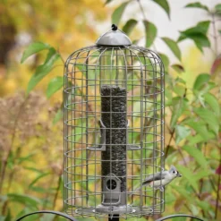 Frisco Ultra Squirrel Defense Wild Bird Feeder -PetPalace Picks 333281 PT3. AC SS1800 V1646665002
