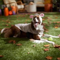 Frisco Hedgehog Dog & Cat Costume -PetPalace Picks 334990 PT7. AC SS1800 V1657732628