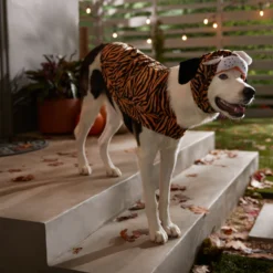 Frisco Tiger Dog & Cat Costume 12 Frisco Tiger Dog & Cat Costume -PetPalace Picks 335070 PT7. AC SS1800 V1659035569
