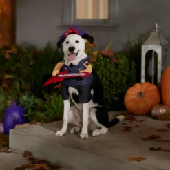 Frisco Front Walking Punk Rocker Dog & Cat Costume 14 Frisco Front Walking Punk Rocker Dog & Cat Costume -PetPalace Picks 335087 PT7. AC SS1800 V1657732627