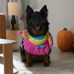 Frisco Front Walking Workout Girl Dog & Cat Costume 14 Frisco Front Walking Workout Girl Dog & Cat Costume -PetPalace Picks 335111 PT7. AC SS1800 V1657656881