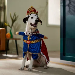Frisco Front Walking Royal King Dog & Cat Costume 14 Frisco Front Walking Royal King Dog & Cat Costume -PetPalace Picks 335127 PT7. AC SS1800 V1659037728