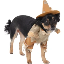 Frisco Front Walking Scarecrow Dog & Cat Costume -PetPalace Picks 335135 PT3. AC SS1800 V1658349680
