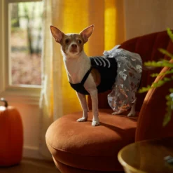 Frisco Silver Metallic Skull Dog & Cat Dress -PetPalace Picks 335154 PT7. AC SS1800 V1657663214