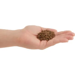 ACANA First Feast High-Protein Kitten Dry Cat Food, 4-lb Bag & Frisco Multi-Cat Unscented Clumping Clay Cat Litter -PetPalace Picks 338643 PT3. AC SS1800 V1635909934