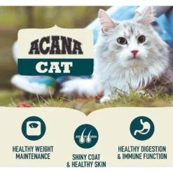 ACANA First Feast High-Protein Kitten Dry Cat Food, 4-lb Bag & Frisco Multi-Cat Unscented Clumping Clay Cat Litter -PetPalace Picks 338643 PT4. AC SS1800 V1635899904