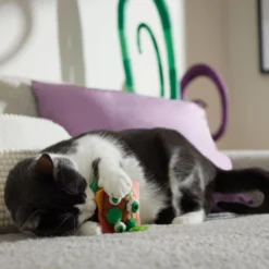 Frisco Haunted Burger Plush Cat Toy With Catnip 6 Frisco Haunted Burger Plush Cat Toy With Catnip -PetPalace Picks 344056 PT3. AC SS1800 V1657657030