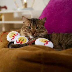 Frisco Halloween Haunted Deviled Eggs Plush Cat Toy With Catnip 6 Frisco Halloween Haunted Deviled Eggs Plush Cat Toy With Catnip -PetPalace Picks 344058 PT3. AC SS1800 V1657657030