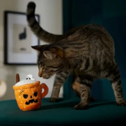Frisco Halloween Spooky Pumpkin Spice Latte Plush Cat Toy With Catnip -PetPalace Picks 344080 PT3. AC SS1800 V1657657033