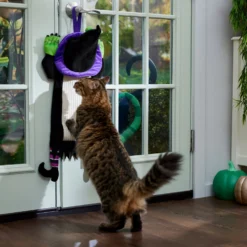 Frisco Halloween Witch Doorknob Hanger Cat Toy With Catnip 8 Frisco Halloween Witch Doorknob Hanger Cat Toy With Catnip -PetPalace Picks 344092 PT3. AC SS1800 V1657657035