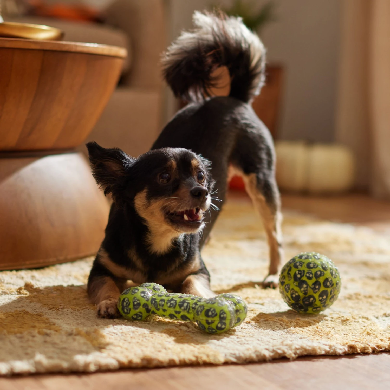 Frisco Halloween Glow In The Dark TPR Squeaky Bone & Ball Dog Toy 4 Frisco Halloween Glow In The Dark TPR Squeaky Bone & Ball Dog Toy - Image 4