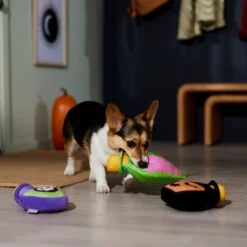 Frisco Halloween Potion Bottles Plush Squeaky Dog Toy -PetPalace Picks 344144 PT3. AC SS1800 V1657657048