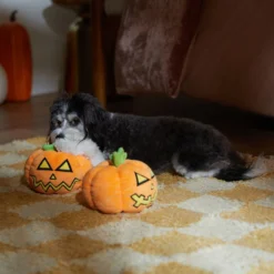 Frisco Halloween Scary Jack-O-Lantern Plush Squeaky Dog Toy 7 Frisco Halloween Scary Jack-O-Lantern Plush Squeaky Dog Toy -PetPalace Picks 344158 PT3. AC SS1800 V1657657048