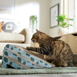 Frisco Nesting Cat Scratcher Toy With Catnip, Tropical Paradise 6 Frisco Nesting Cat Scratcher Toy With Catnip, Tropical Paradise -PetPalace Picks 347215 PT3. AC SS1800 V1659699261