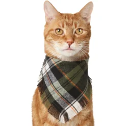 Frisco Plaid Fringe Dog & Cat Bandana