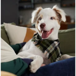 Frisco Plaid Fringe Dog & Cat Bandana 14 Frisco Plaid Fringe Dog & Cat Bandana -PetPalace Picks 353769 PT6. AC SS1800 V1660749811