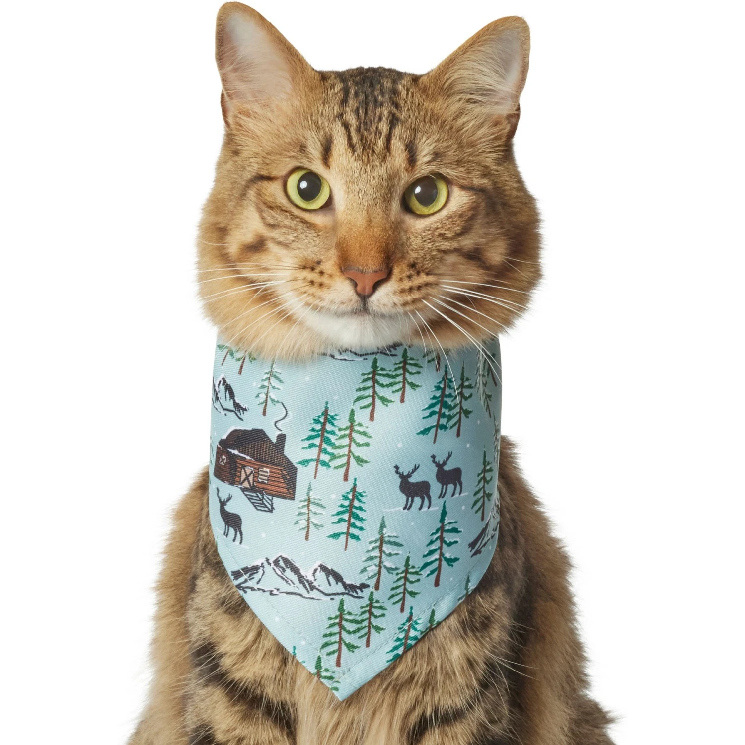 Frisco Moose Lodge Dog & Cat Bandana 1 Frisco Moose Lodge Dog & Cat Bandana