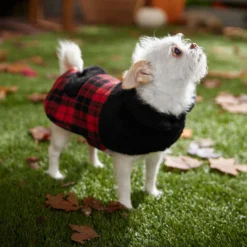 Frisco Mediumweight Plaid Faux Fur Dog & Cat Jacket 14 Frisco Mediumweight Plaid Faux Fur Dog & Cat Jacket -PetPalace Picks 353847 PT7. AC SS1800 V1661274842