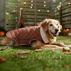 Frisco Mid-Heavyweight Fleece Lined Quilted Dog & Cat Coat 14 Frisco Mid-Heavyweight Fleece Lined Quilted Dog & Cat Coat -PetPalace Picks 353877 PT7. AC SS1800 V1660750171