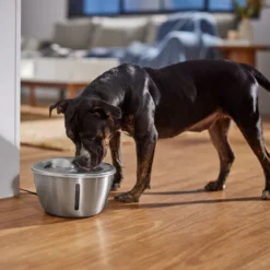 Frisco Stainless Steel Heart Dog & Cat Fountain -PetPalace Picks 355816 PT5. AC SS1800 V1665684540