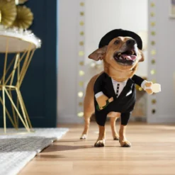 Frisco Front Walking New Years Tuxedo Dog & Cat Costume -PetPalace Picks 358028 PT7. AC SS1800 V1661799888