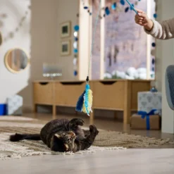 Frisco Hanukkah Interchangeable Teaser Wand Cat Toy With Catnip 6 Frisco Hanukkah Interchangeable Teaser Wand Cat Toy With Catnip -PetPalace Picks 360911 PT3. AC SS1800 V1661890134