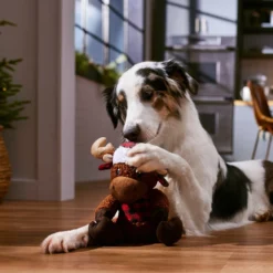 Frisco Holiday Cozy Moose Plush Squeaky Dog Toy 7 Frisco Holiday Cozy Moose Plush Squeaky Dog Toy -PetPalace Picks 360934 PT3. AC SS1800 V1661874193