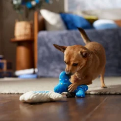 Frisco Hanukkah "Happy Pawnukkah" Bone Plush Squeaky Dog Toy 7 Frisco Hanukkah "Happy Pawnukkah" Bone Plush Squeaky Dog Toy -PetPalace Picks 360981 PT3. AC SS1800 V1661874063