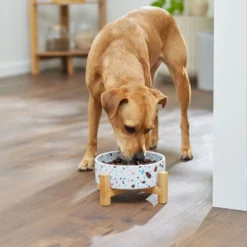 Frisco Elevated Terrazzo Non-skid Ceramic Bowl With Bamboo Stand -PetPalace Picks 363375 PT2. AC SS1800 V1657657266