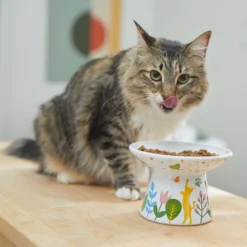 Frisco Cat Face Floral Wide Shape Elevated Non-Skid Ceramic Cat Bowl -PetPalace Picks 363377 PT3. AC SS1800 V1657657267