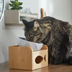 Frisco Elevated Non-Skid Ceramic Bowl & Bamboo Storage -PetPalace Picks 363379 PT5. AC SS1800 V1657657267