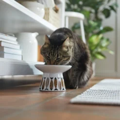 Frisco Cat Face Wide Shape Elevated Non-Skid Ceramic Cat Bowl -PetPalace Picks 363381 PT3. AC SS1800 V1657657267