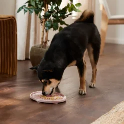 Frisco Silicone Dog & Cat Lick Mat With Suction Cups, Pink -PetPalace Picks 363395 PT2. AC SS1800 V1660750521