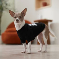 Frisco Big Boss Dog & Cat T-Shirt -PetPalace Picks 368782 PT7. AC SS1800 V1664992675